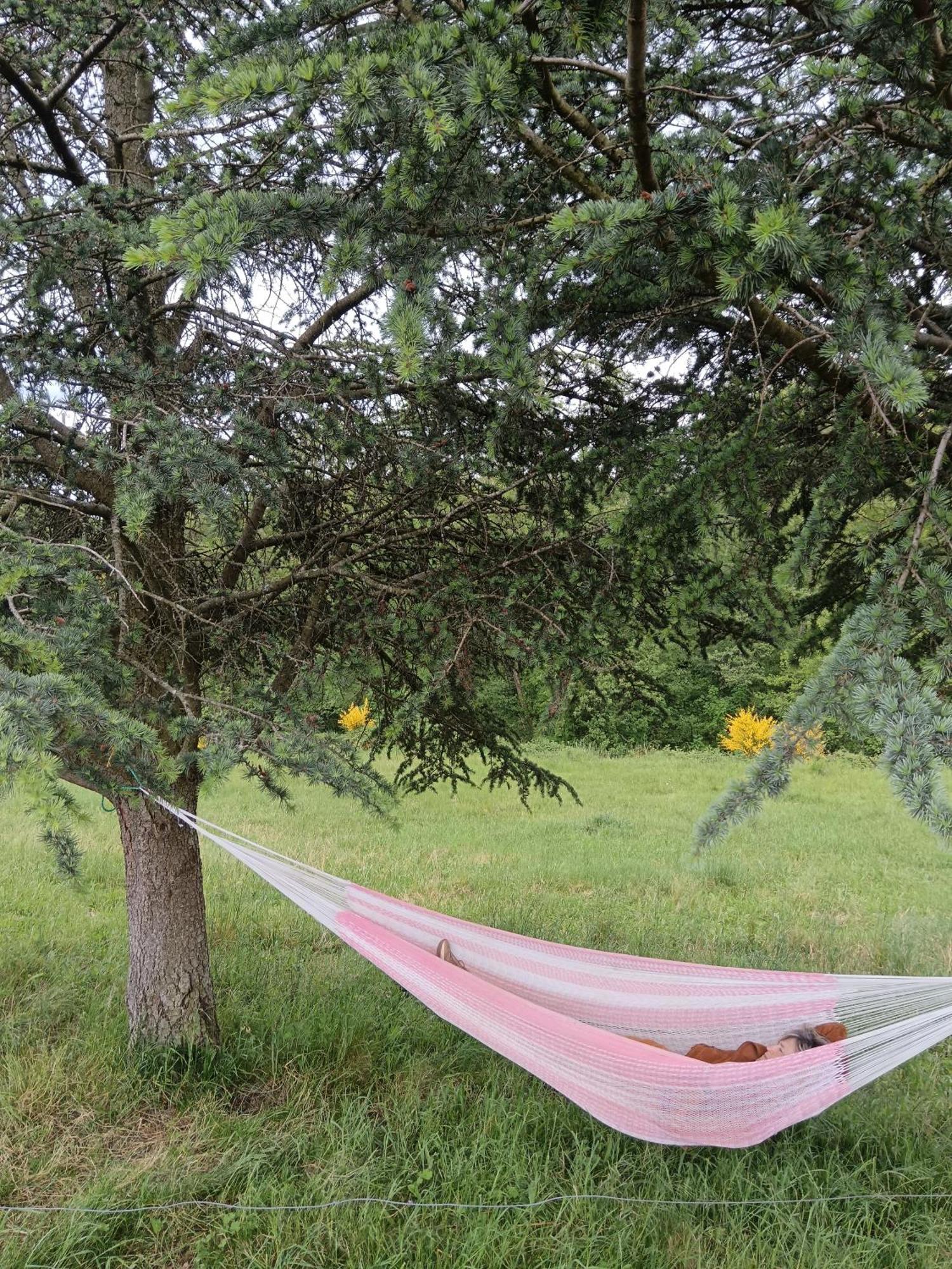 Etables  Ancienne Ferme Tranquille En Haute Ardeche מראה חיצוני תמונה